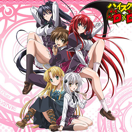 High School DxD Dakimakura